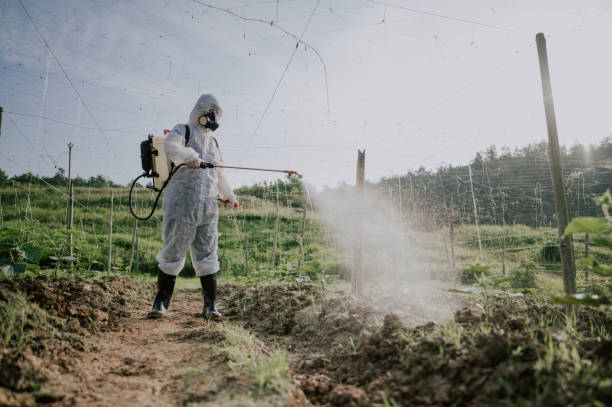 Best Commercial Pest Control Services  in Waynesboro, TN