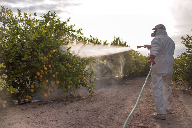 Best Termite Control Services  in Waynesboro, TN
