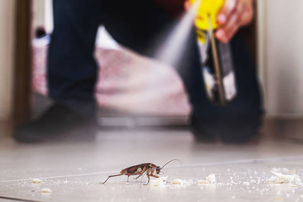 Best Wasp Removal Services  in Waynesboro, TN