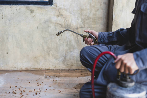 Best Mosquito Control Services  in Waynesboro, TN