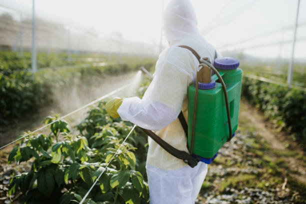 Best Ant Control Services  in Waynesboro, TN